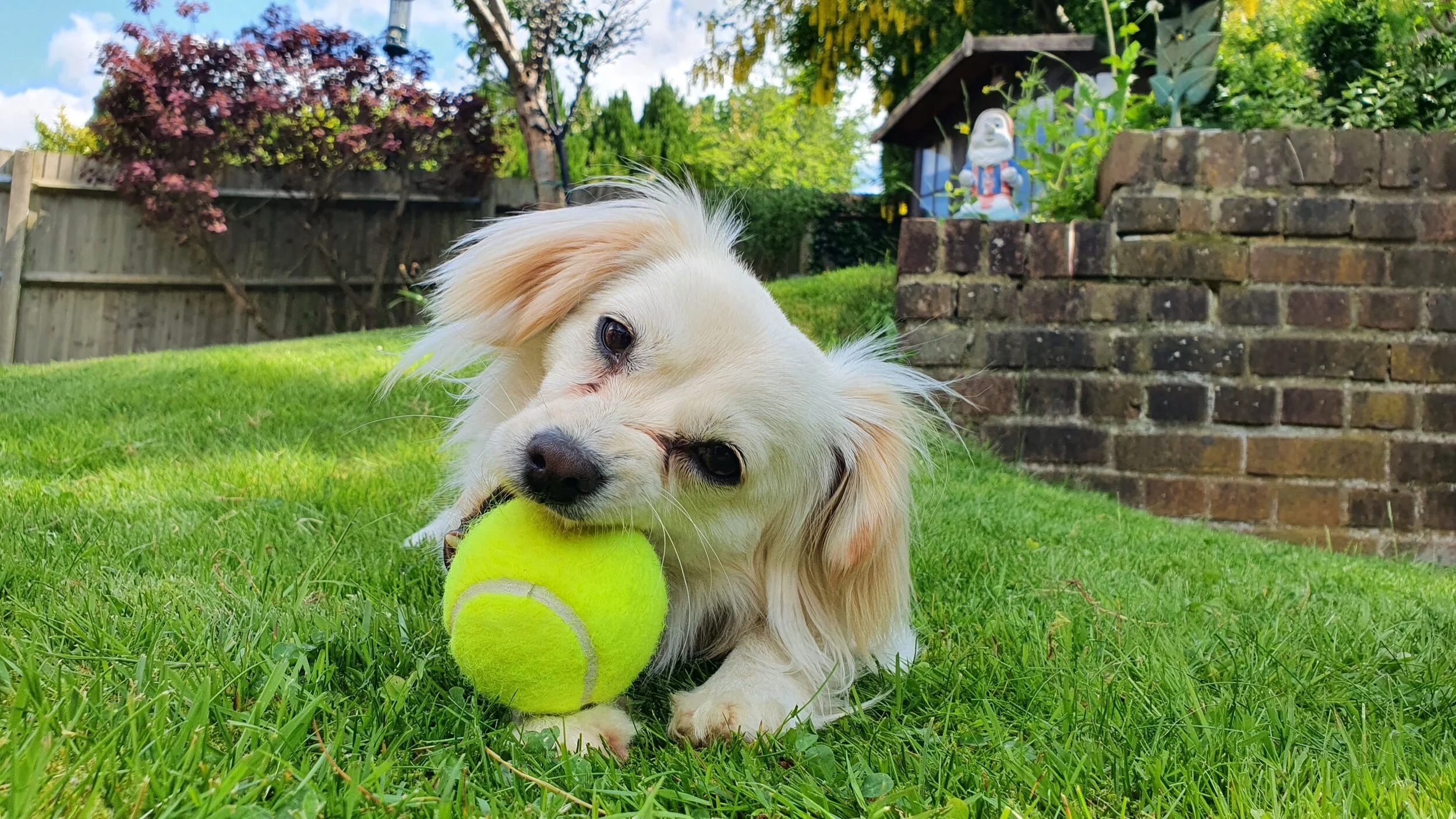 2AB97BE2-7323-4C06-8AF9-7B4B0681689D