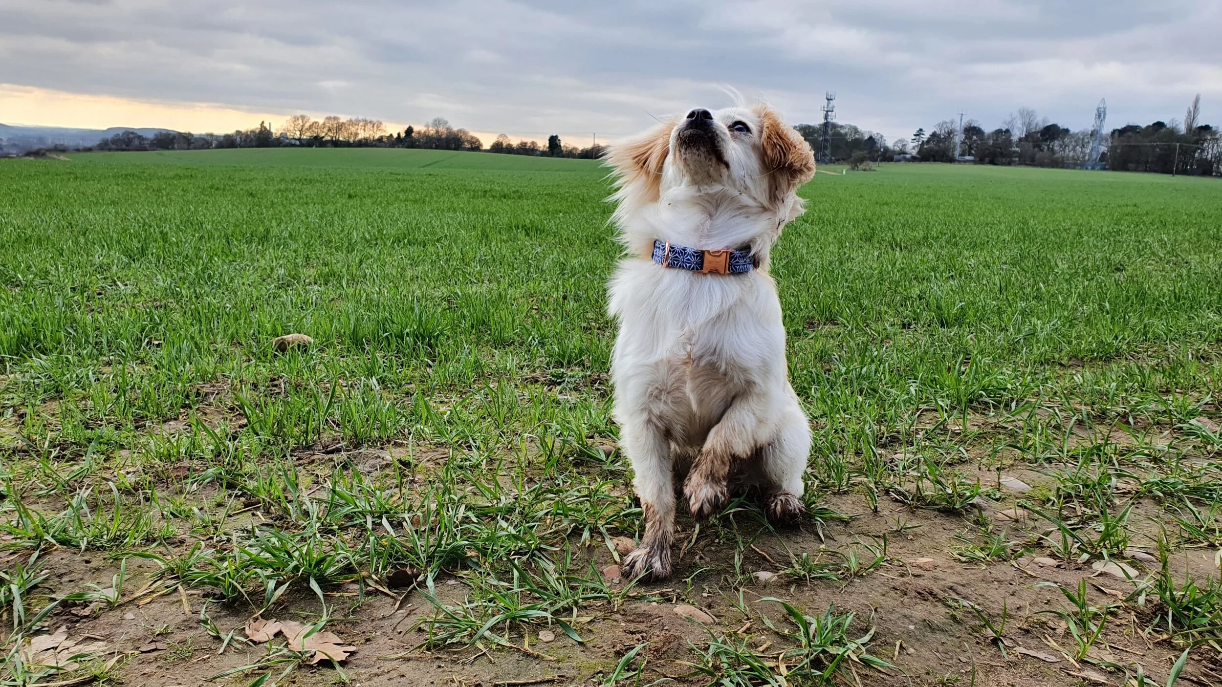 C5BC7DBC-8218-4D3F-821A-419535A63A54