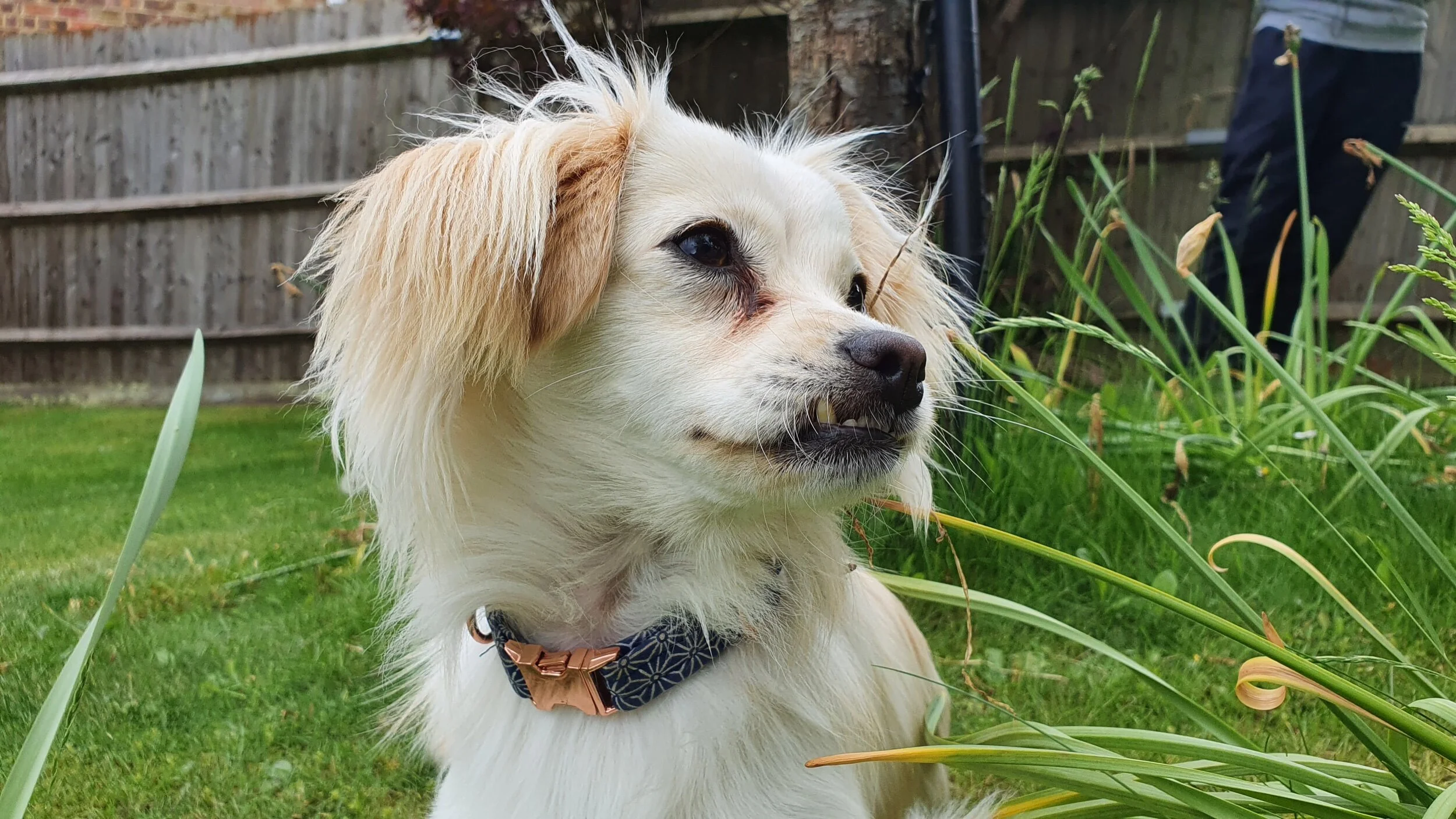 C6C66FC8-177B-45DF-A5FA-2B8DF930C0E0