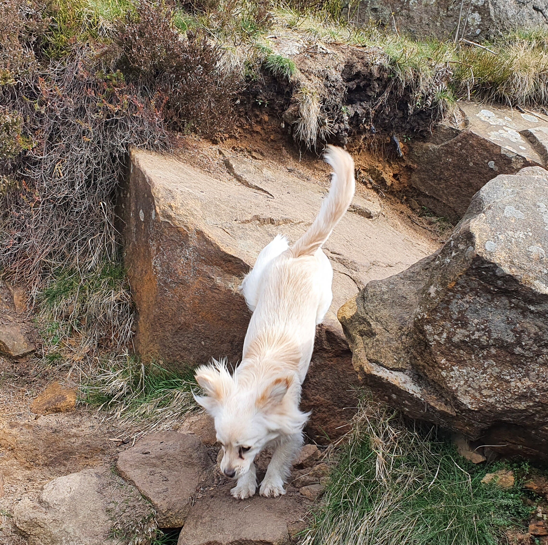 62CAC8D6-7687-430B-8185-8BE49D3B474B