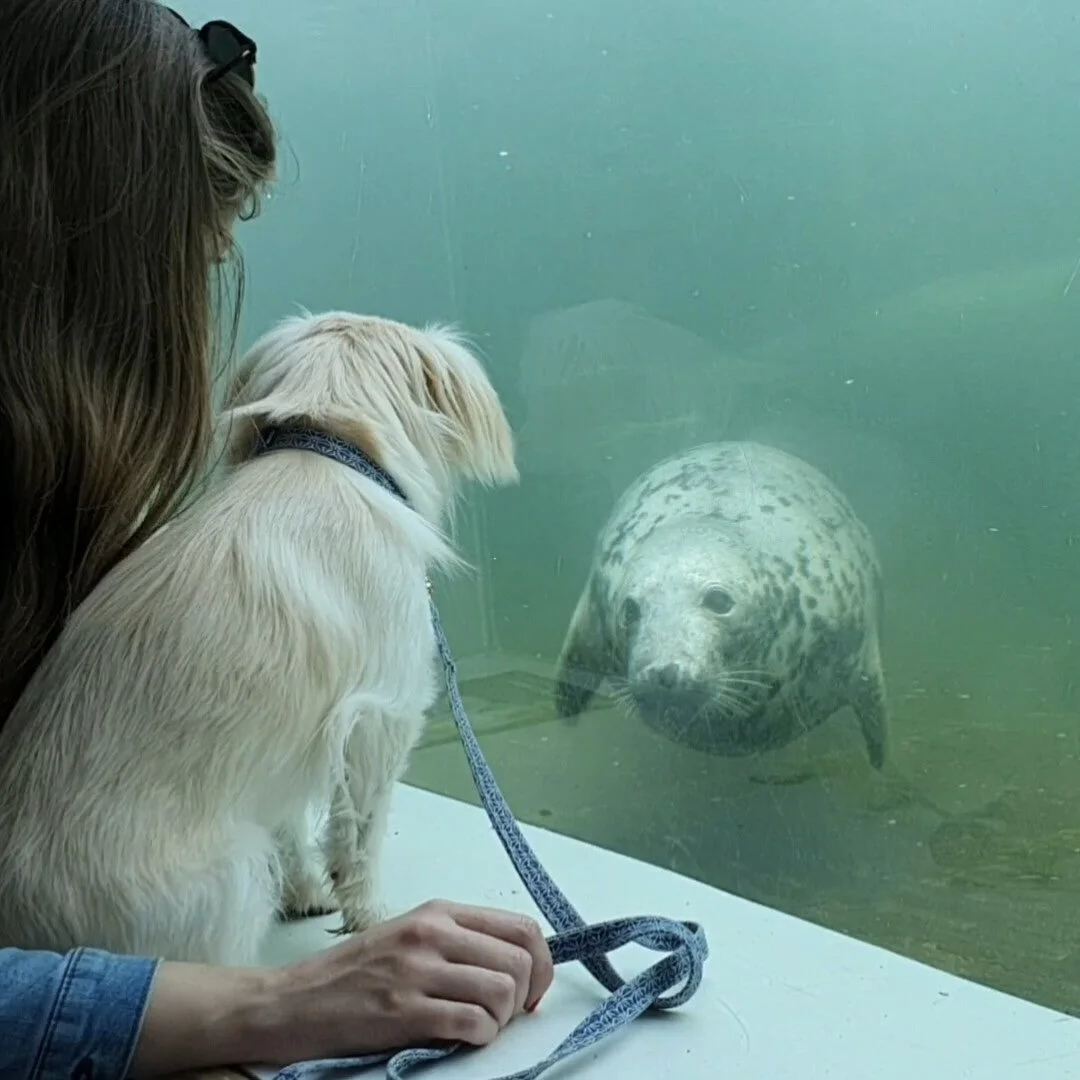 299AEF9F-FC1A-43F3-99F5-33ED25753639