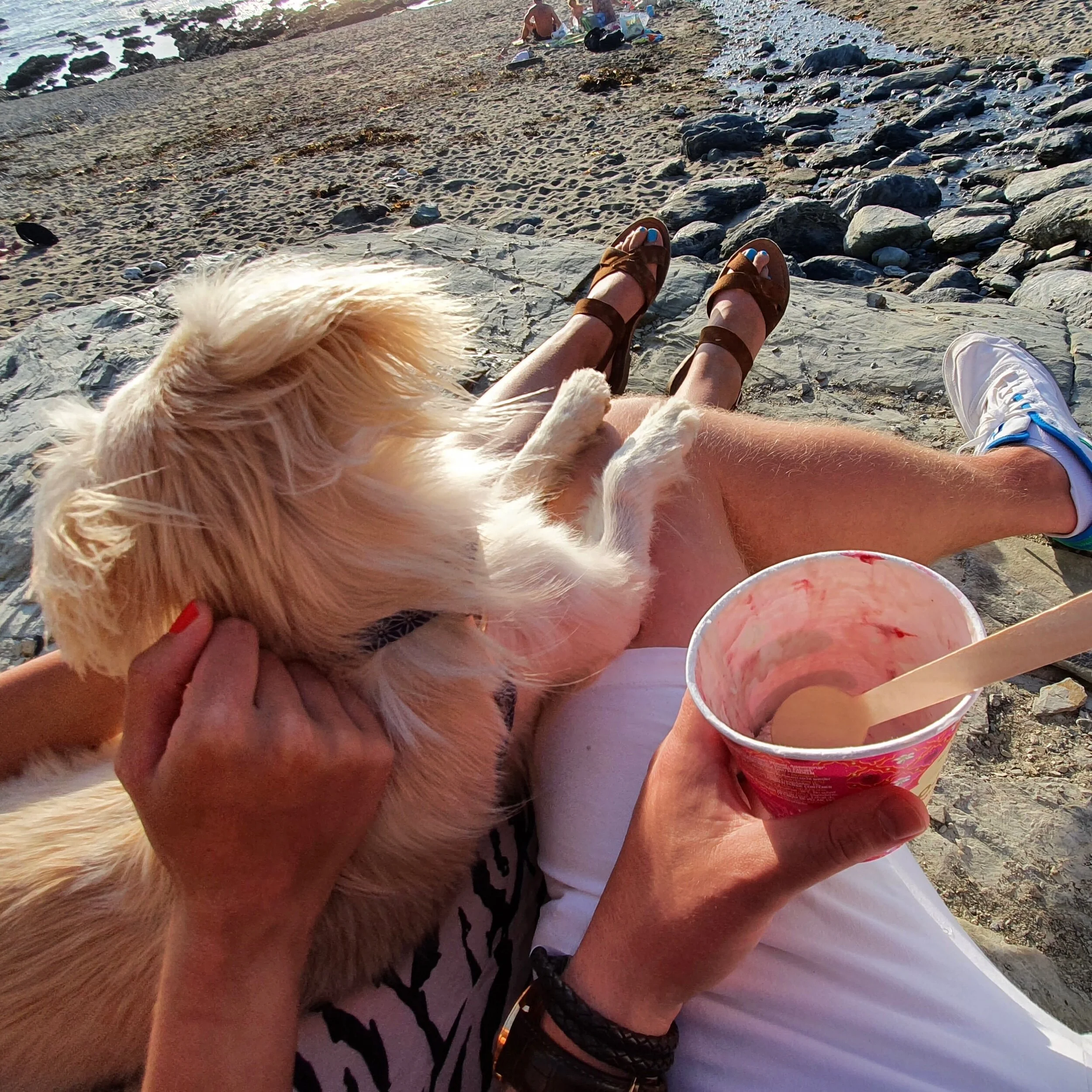 FD93EDB5-360E-45F9-A529-D2A86884B3A7