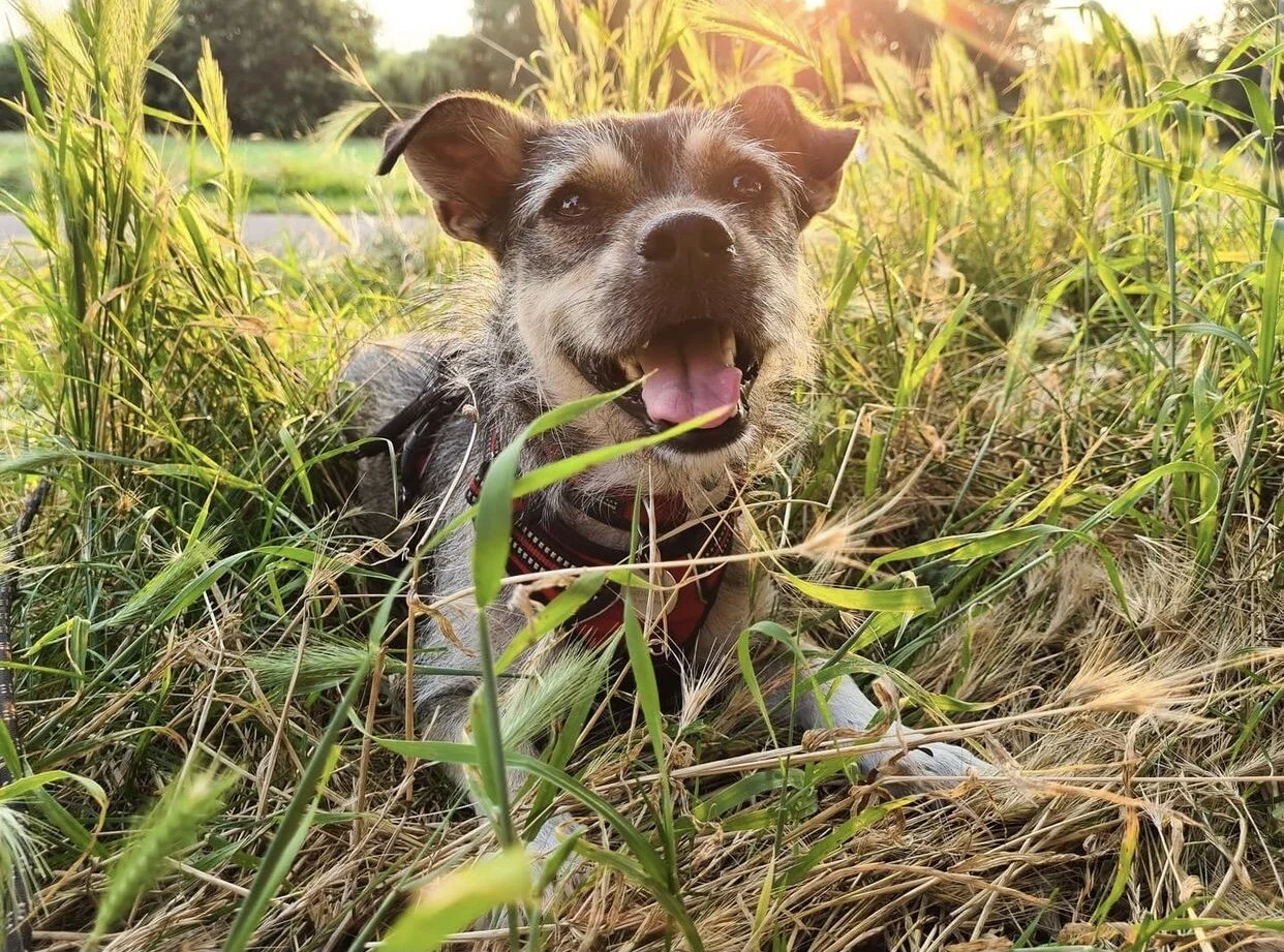 897FCBEB-D444-4C2A-AC3E-789E123FA334