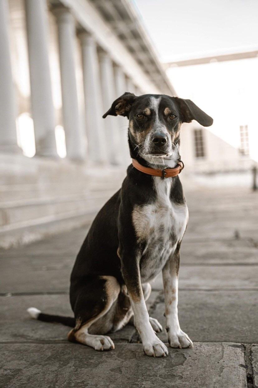 6C4BC71A-6454-4B8D-94F1-F72BB27E9F01