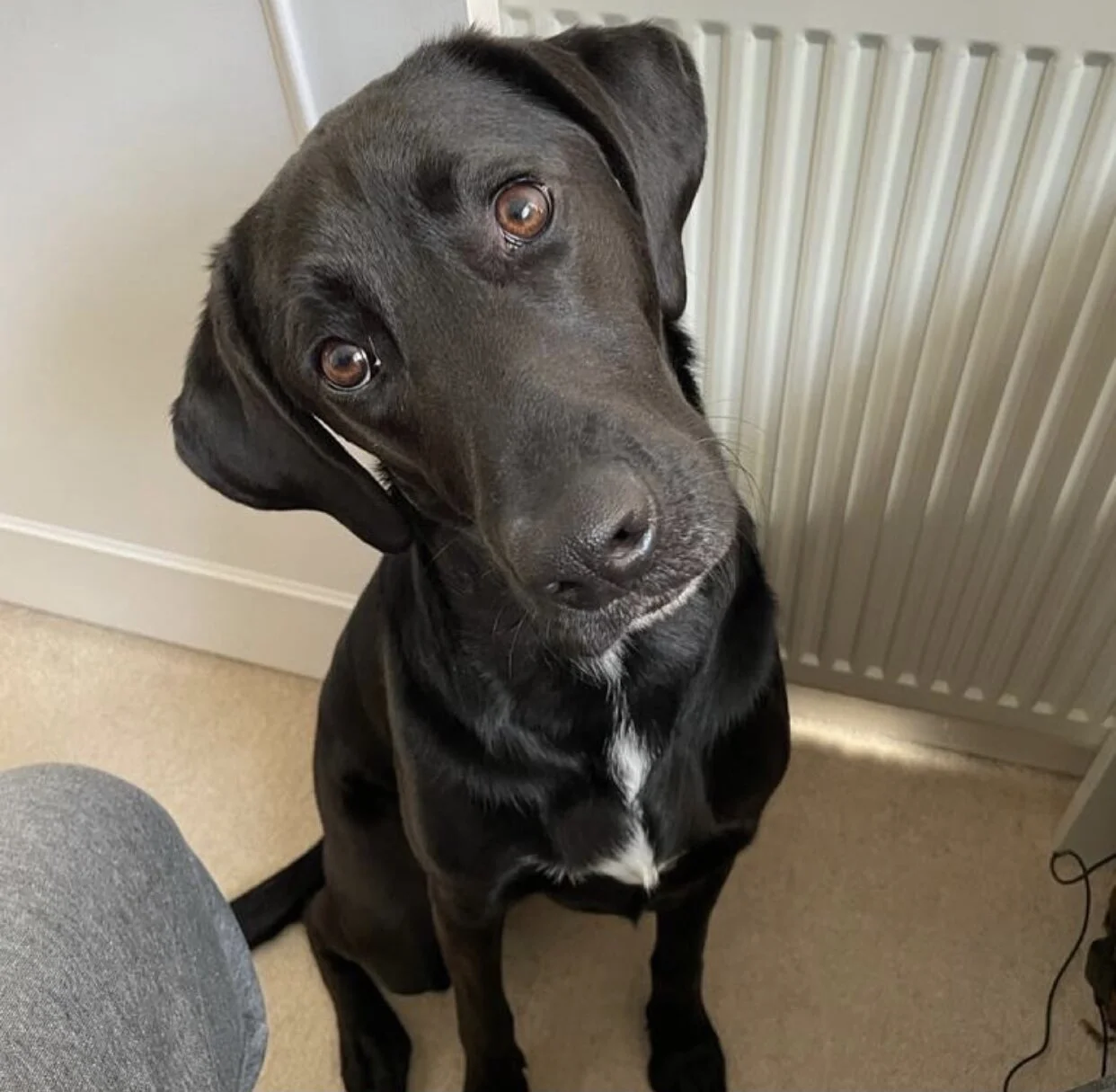 60FF41D3-FB7F-446E-8E6D-CA3C494695D6