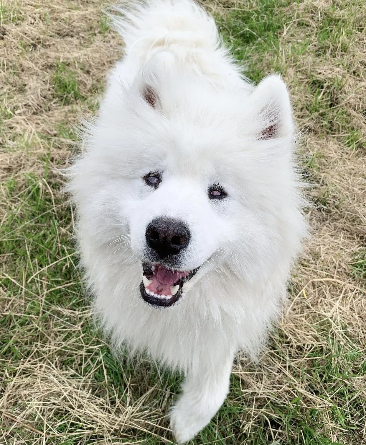 4211028A-D230-464A-8E9C-1ECE835545AC