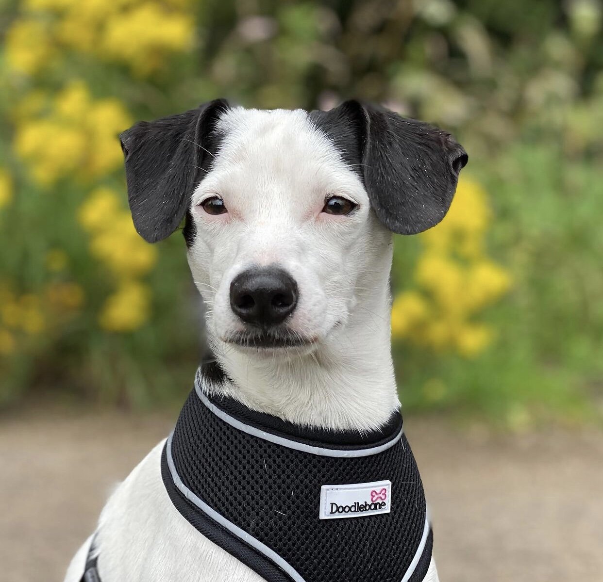 A14FC432-FD79-4BEA-B022-C0BDDD7BF979