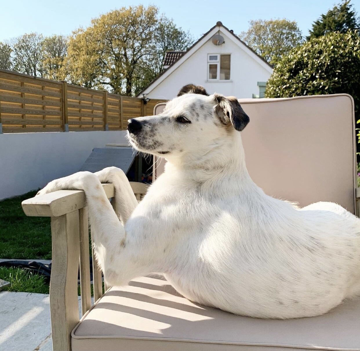 E7671F4A-F7EE-4FDD-9D0B-7F993FB4C4B6