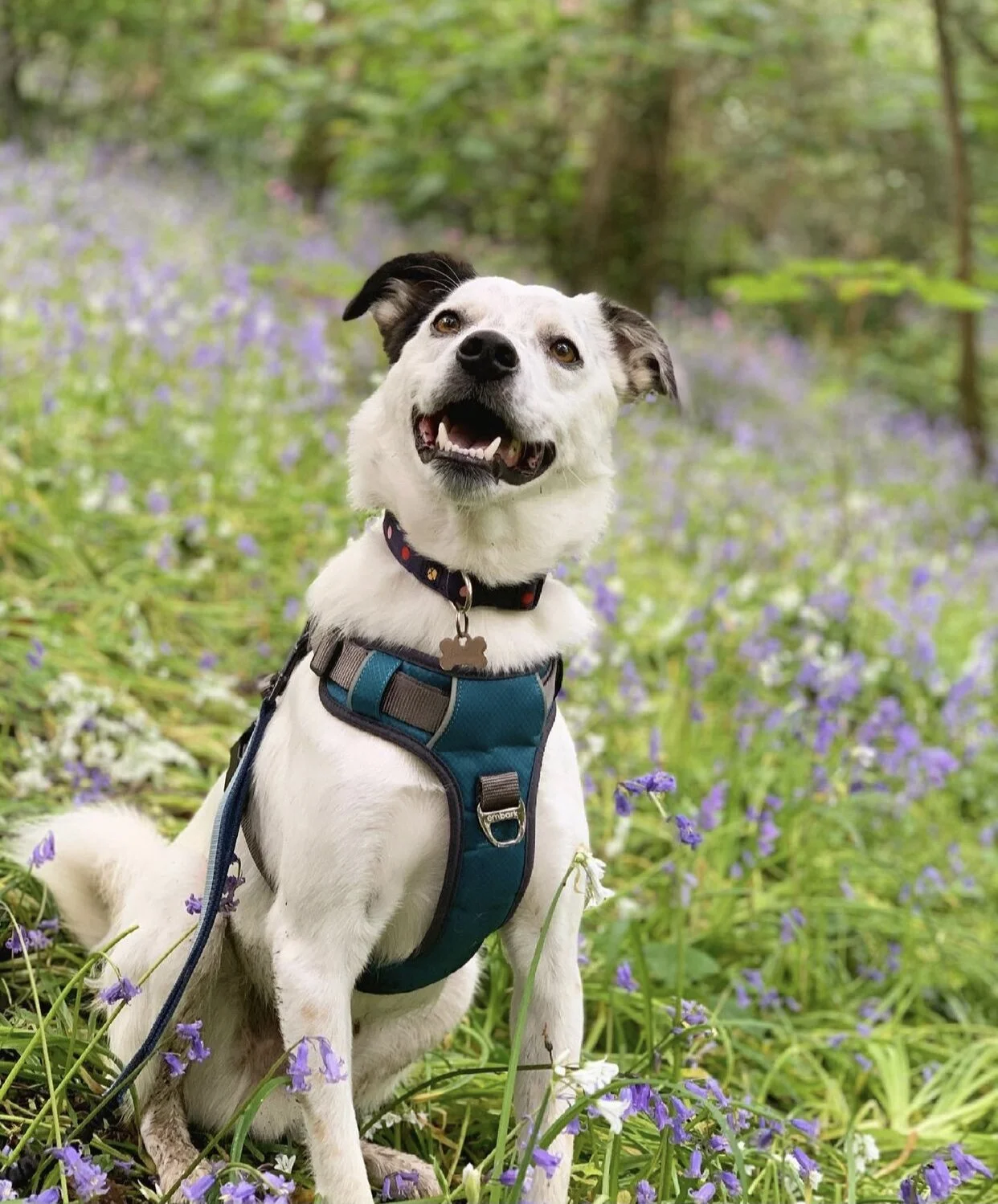 F9D365B5-EB88-47B9-8255-2214CA2E644D