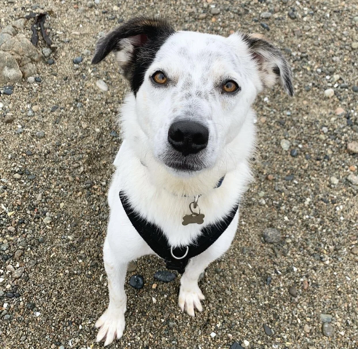 451CE2EB-B5B5-461B-9095-72CD991115AE