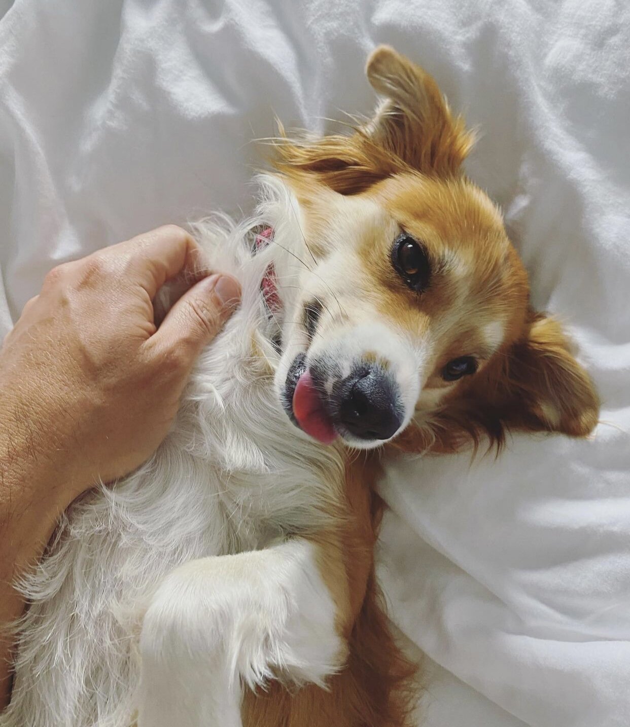 DF82EB66-F430-4914-85C0-31E9BB52043A