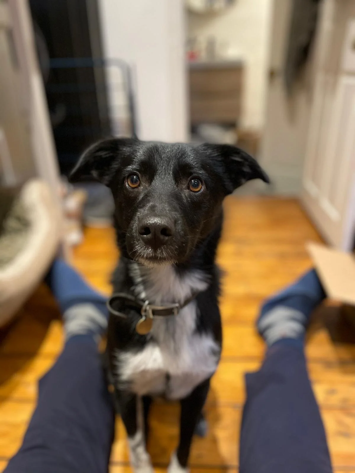 0629E188-2128-4D6B-9161-064537BAF5A2