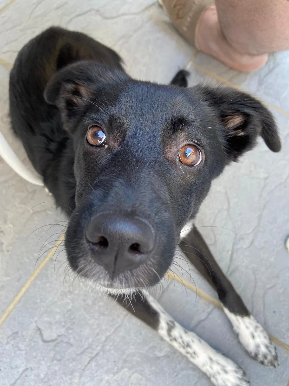 54A37B9D-AE1D-497C-AB37-8A74EF3E4326