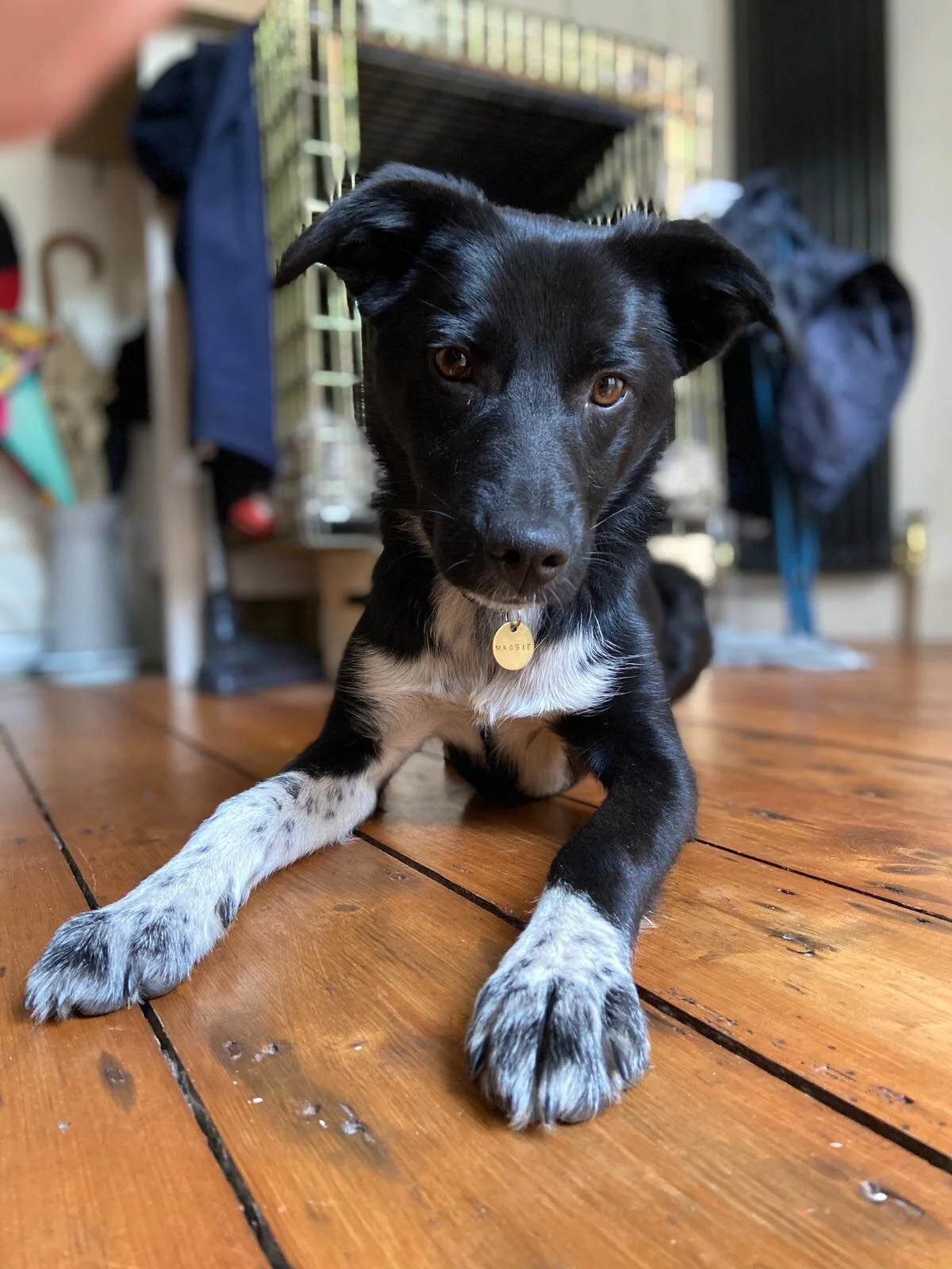 FA7B57F5-2718-428C-AF2C-966B96BE7D56