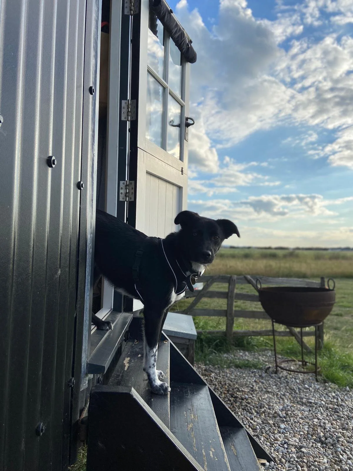 28D6028B-C714-46C4-A75C-1CCEE9BF3213