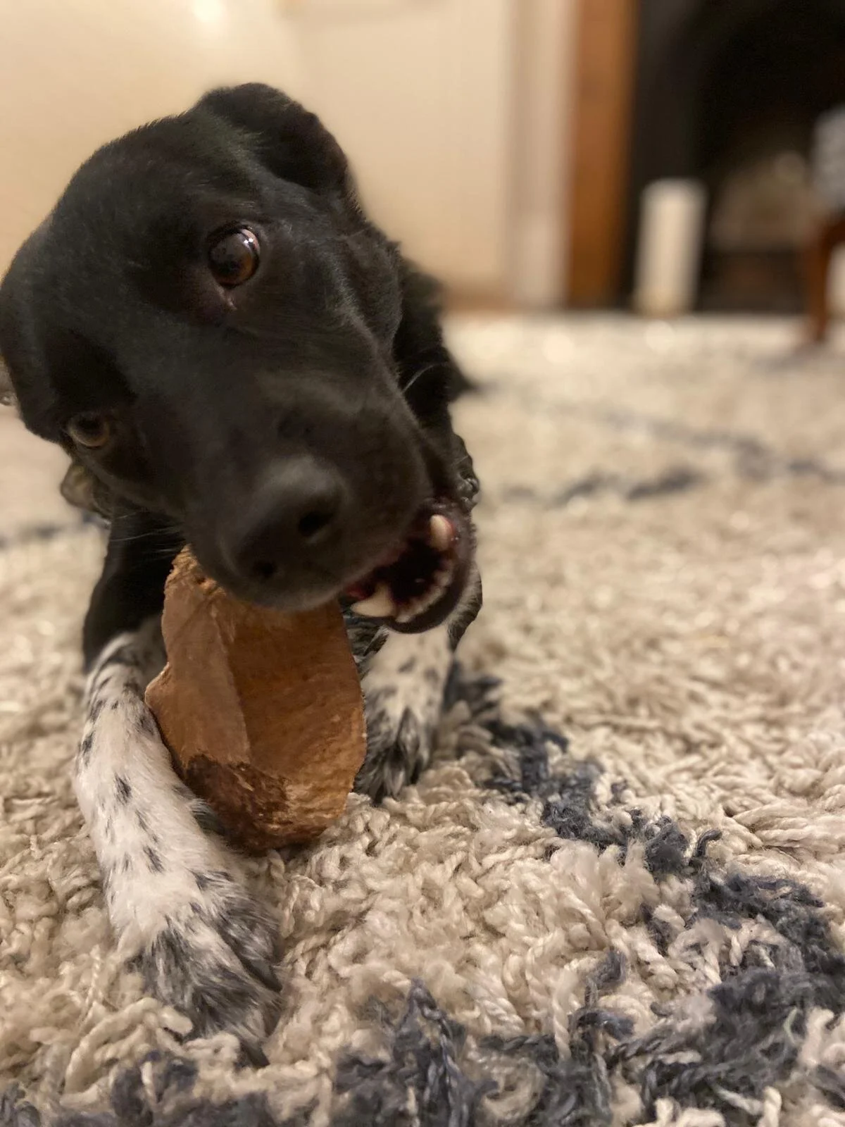 F7A76685-3EA3-4D5D-AF37-A2E4D3EE1F8B