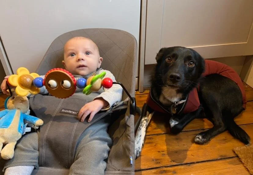 88F9C01F-51D1-40E9-8169-AEE6D93F9DFB