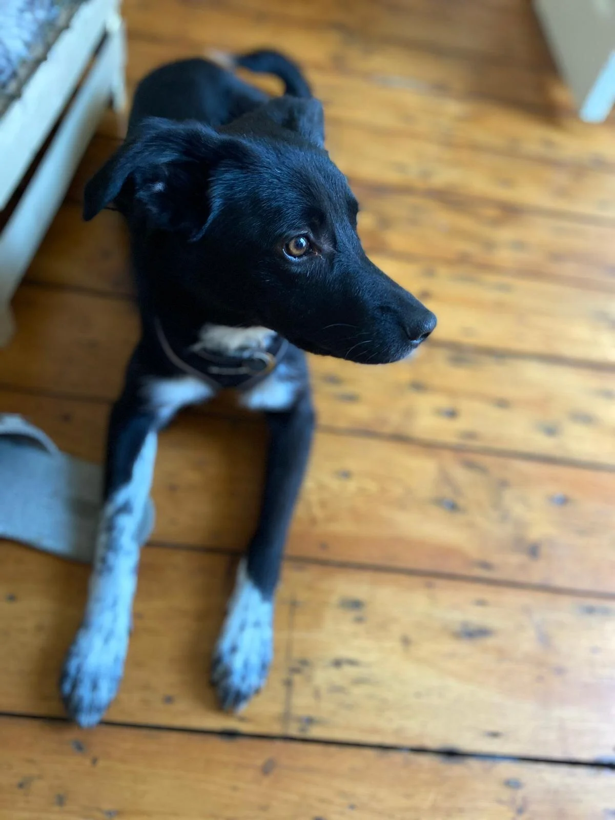 7E811886-668B-47DC-A97A-F56FA28F55FC