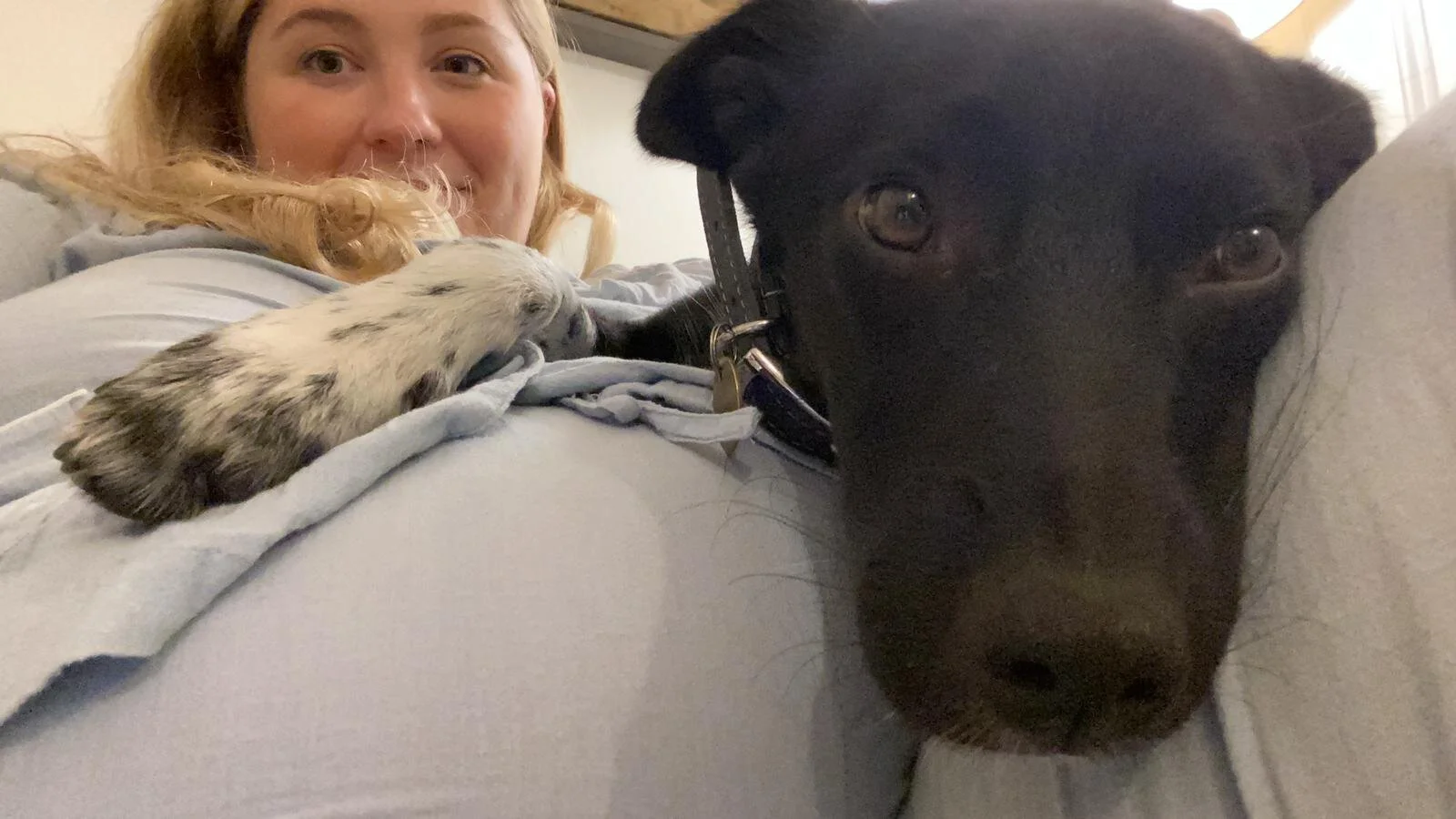 6BDB3D9D-76E1-47D8-934B-7138C2F04639