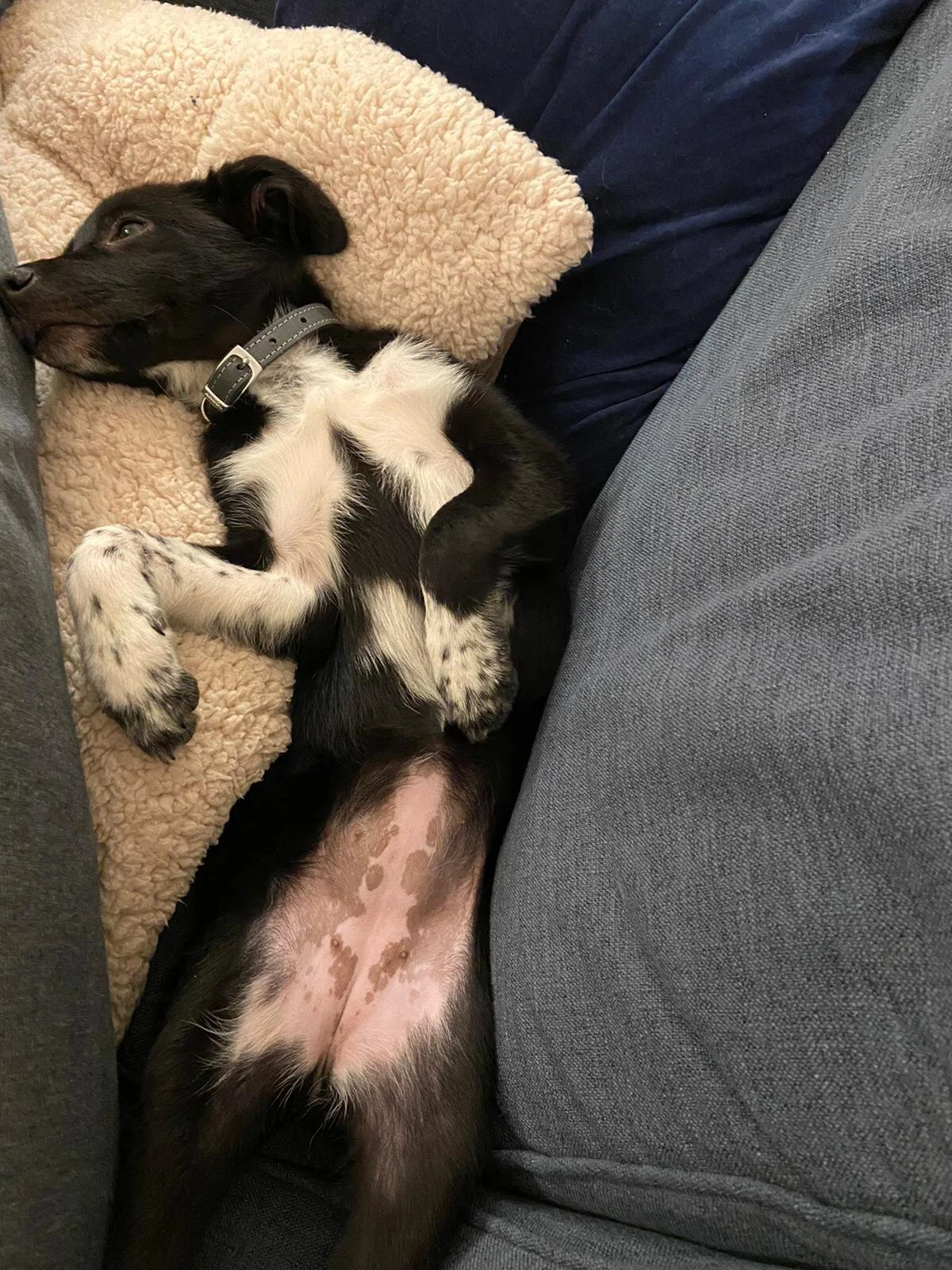 41F4759F-046D-4341-9086-E26E1CFC8C23