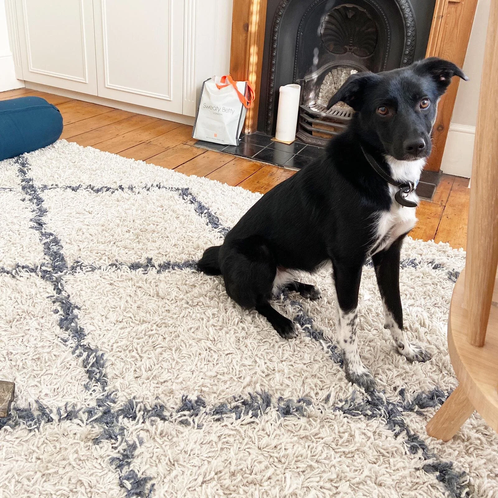 E8A3347F-69CF-4B0E-BAD7-6F960E878CA7