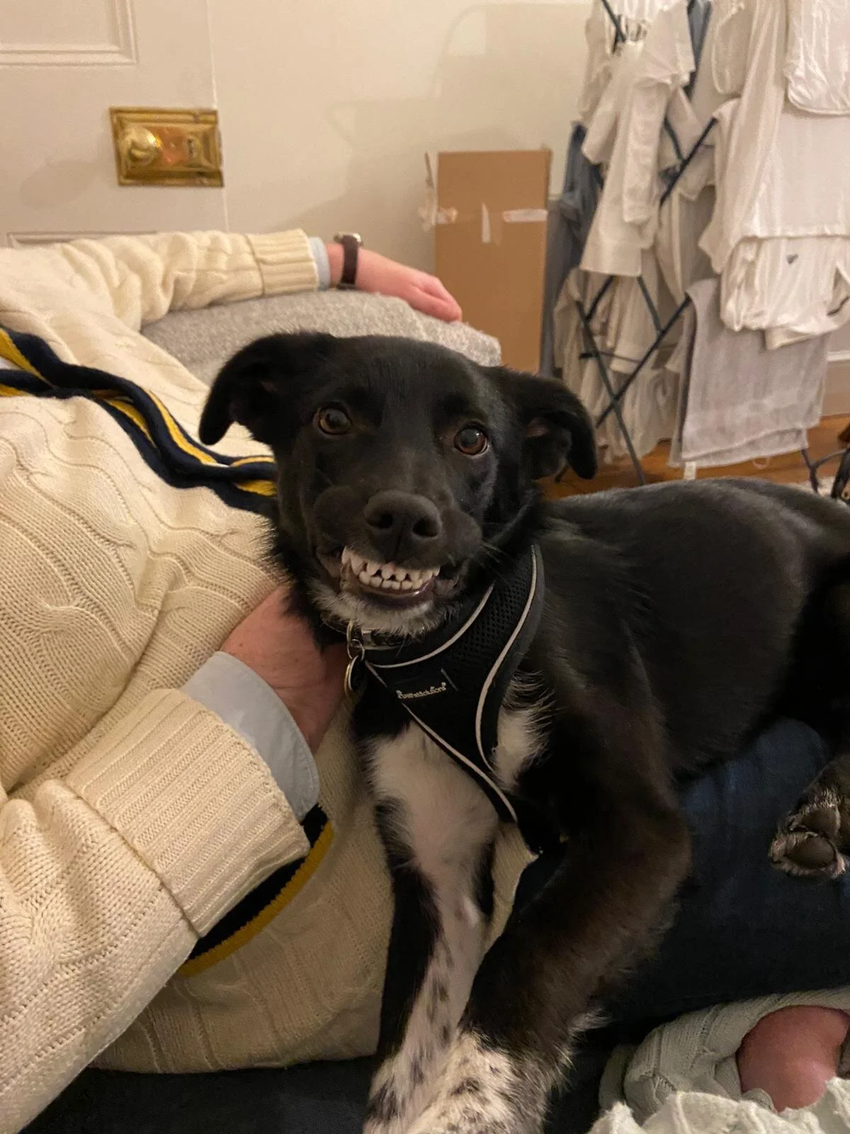 83B97200-3456-4A6F-BBF8-9A85824E37E8