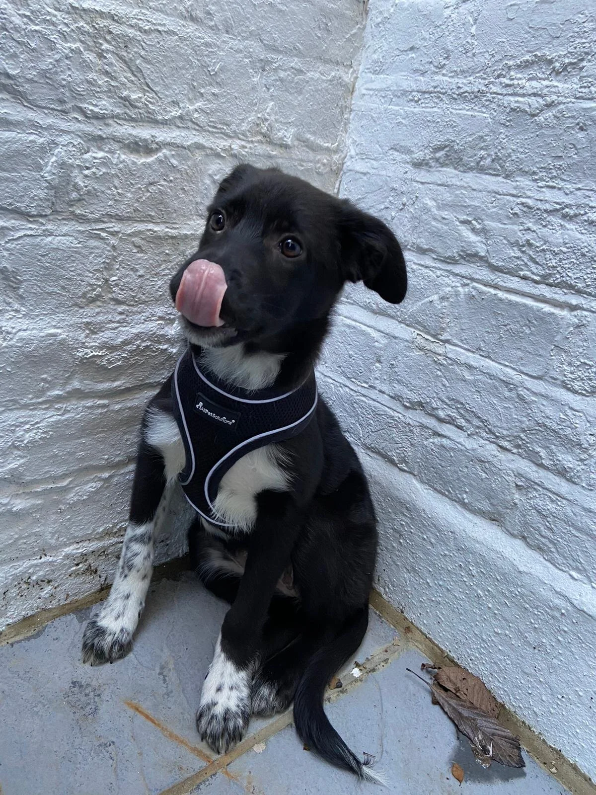 37AD148D-299D-4C9B-BF86-7B2F539574C0