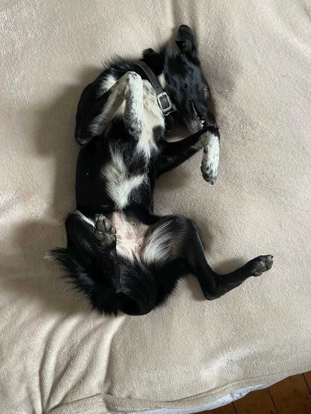 476C8545-788A-4287-8C24-4CBDAFF30135