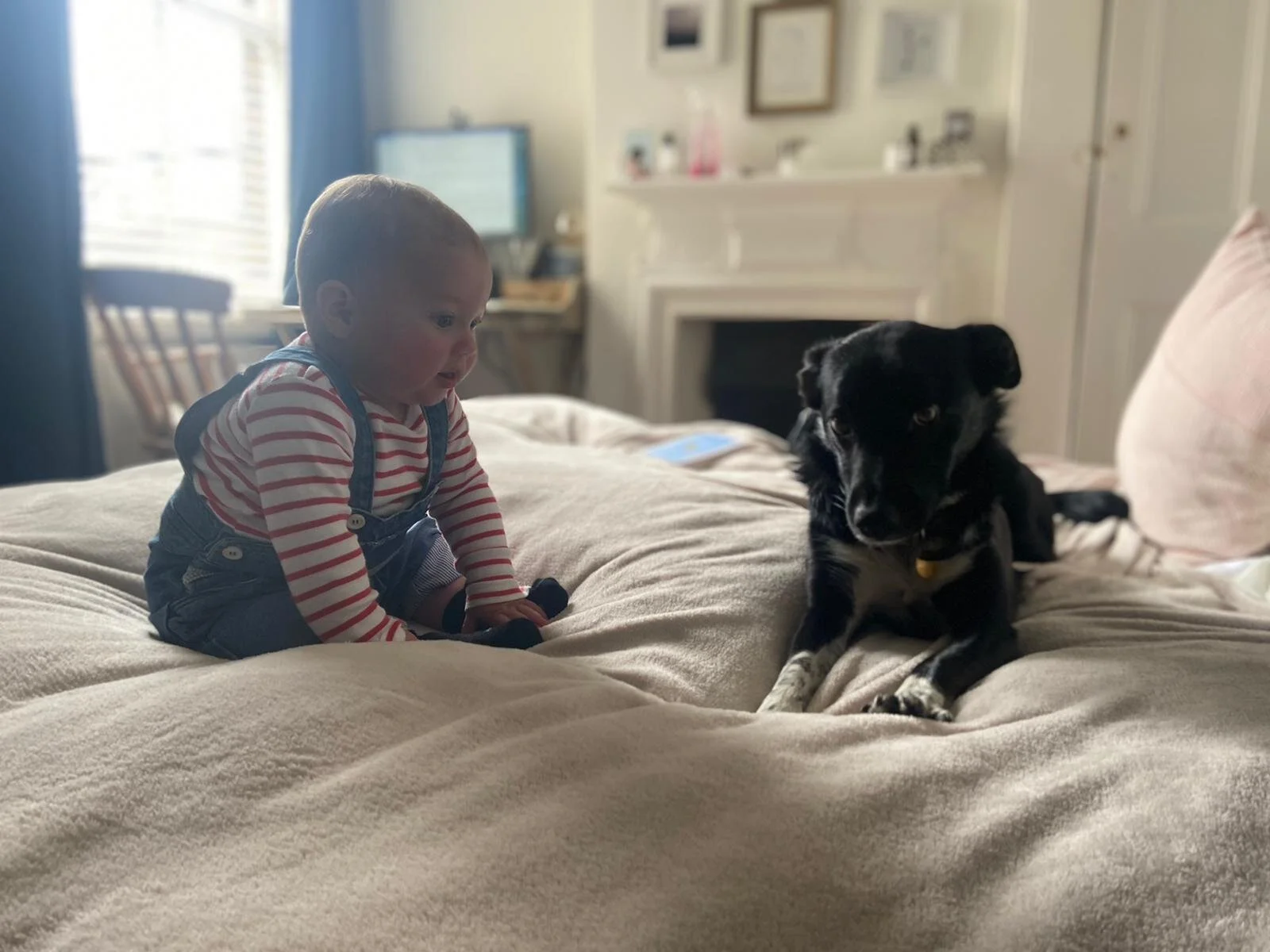 A4D1C83D-0AF3-47D9-A7F6-C3875A5466EA