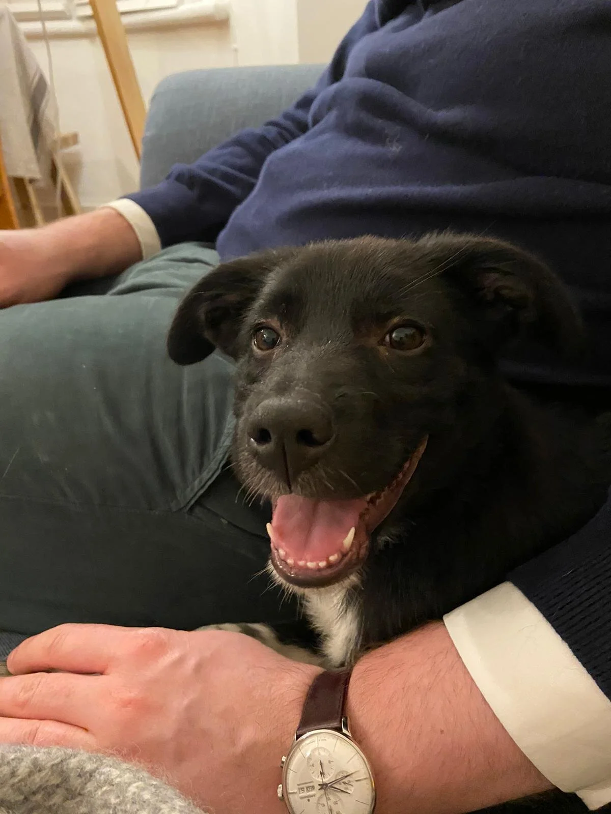 810B80F2-513F-4D9F-87CE-DDBD9B59F368