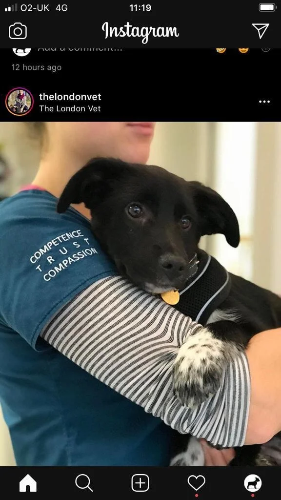 E9D06E1C-27DD-4925-951D-36F582A49692