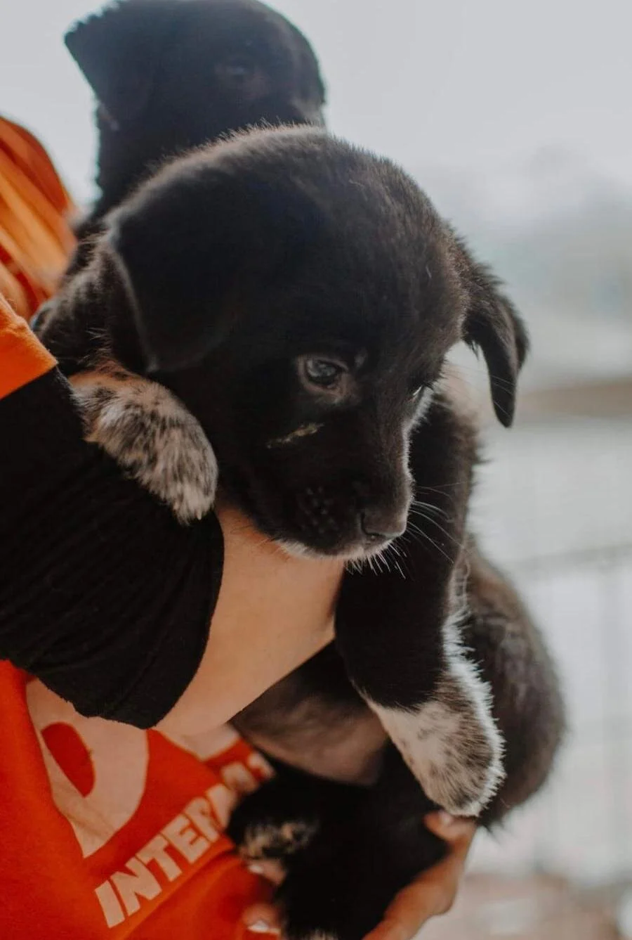 CDAEC42F-B028-4E63-BE28-D0302ECD3DE3