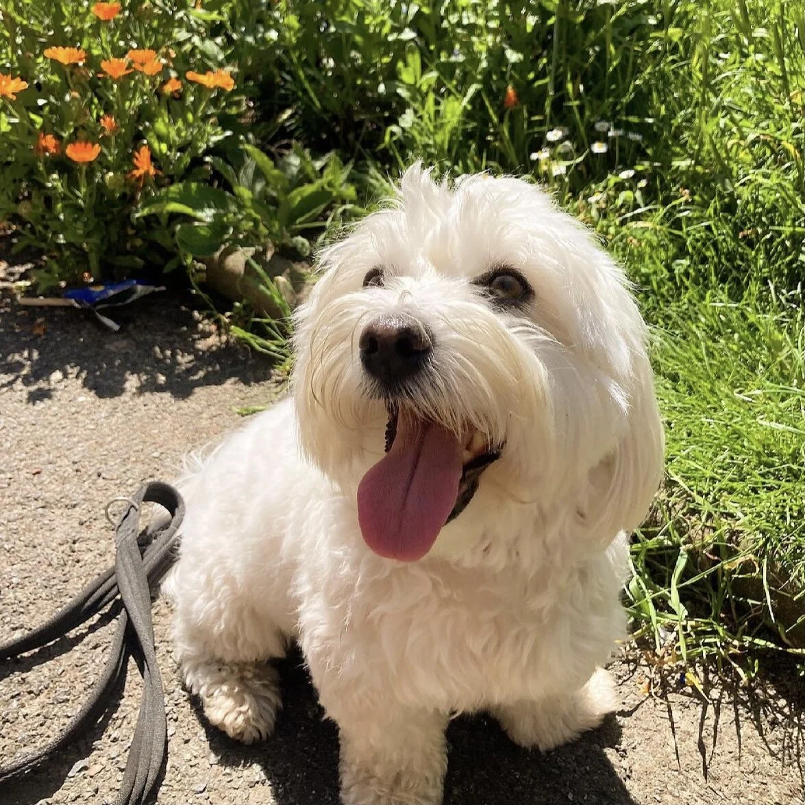 65567595-C25E-4885-9968-BC1C7C928C2E