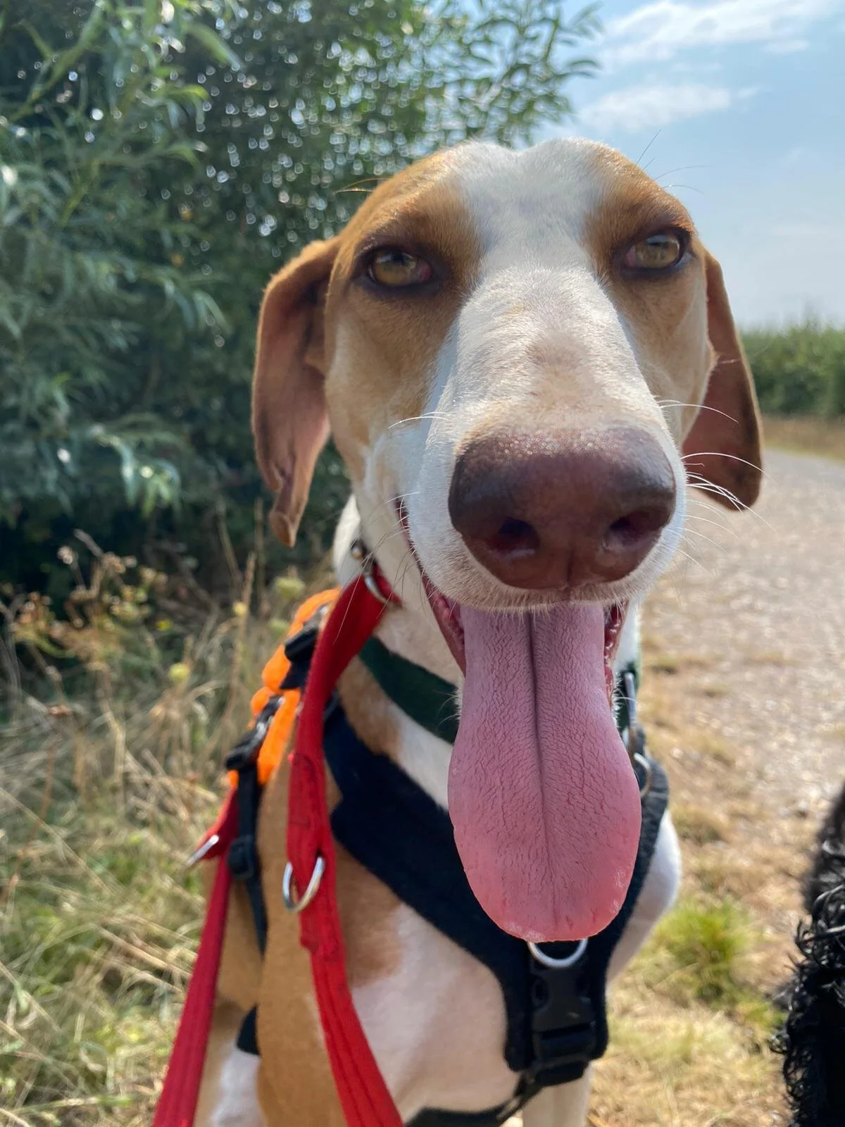 C2FFB9CB-C0F5-47F1-9122-2CA87EEBB594