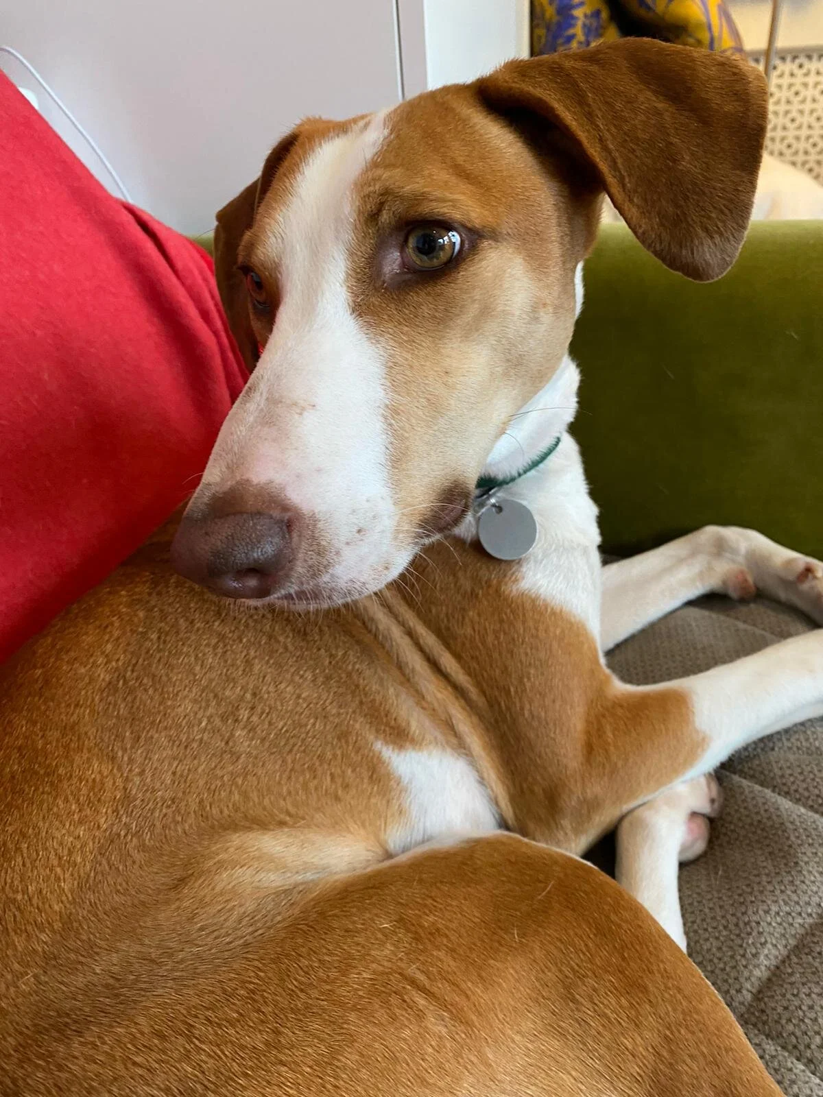 09DB58C4-6ACF-4BE3-8A8E-D58251690BA8