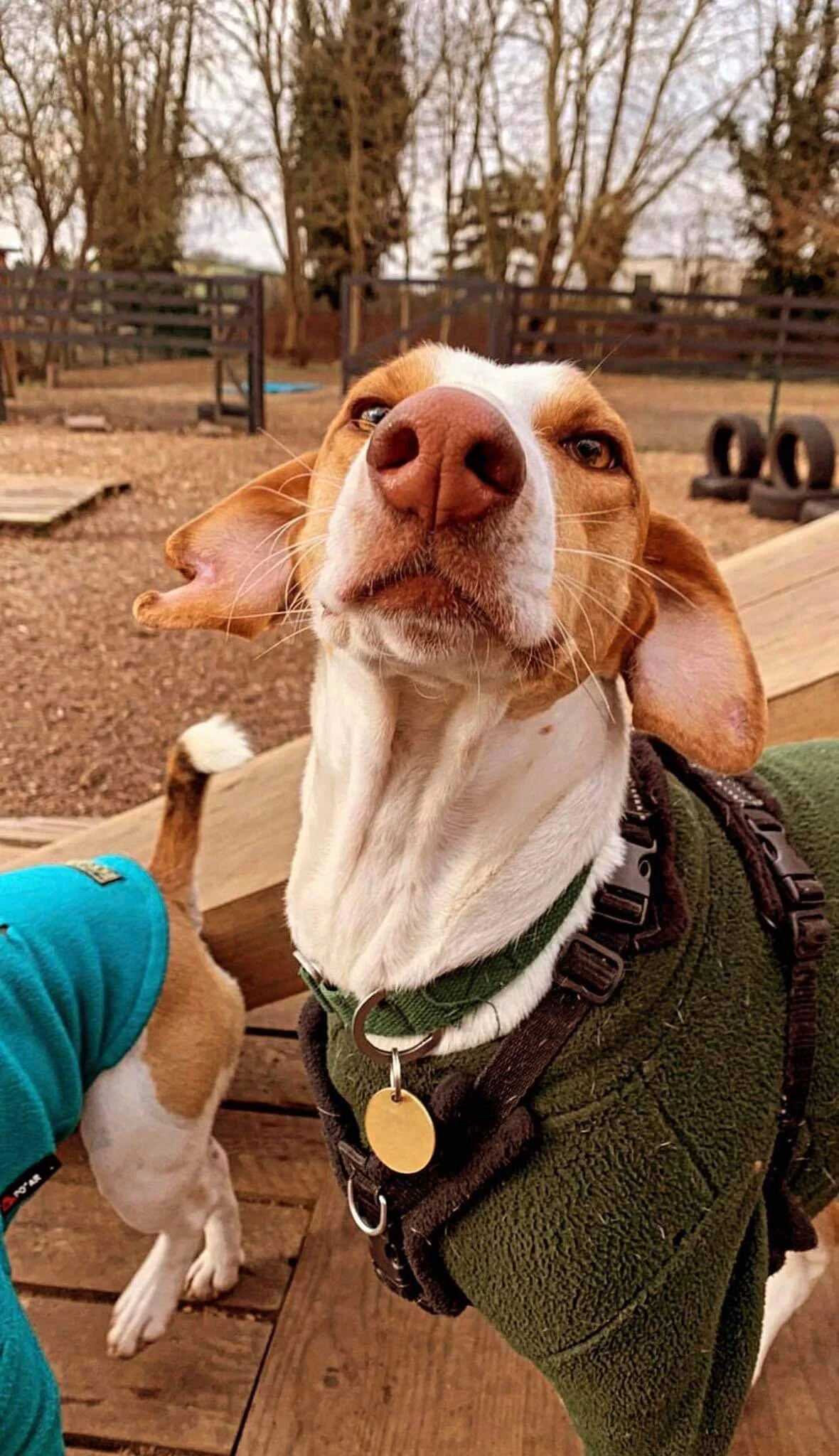 D72127C2-1D87-4D56-A4E2-EEC556C1FC9E