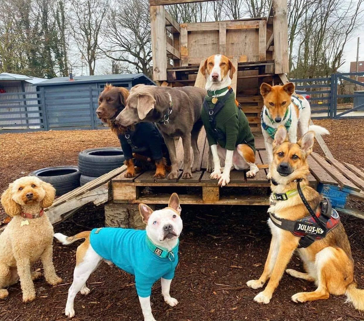 5148F2D7-B96A-4956-B008-EC9A8B85FEB8