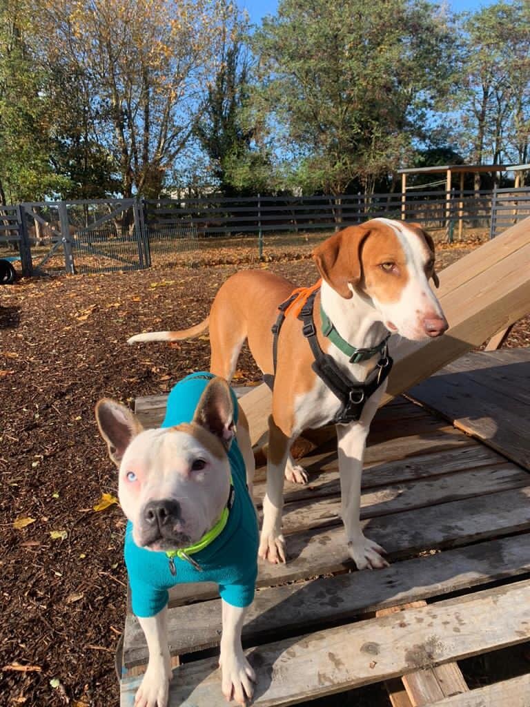 3B1236D5-2563-43CD-9045-1FAF48060CA5