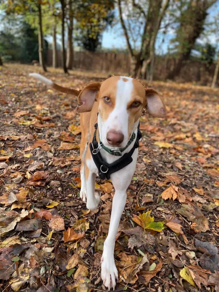 70C14F55-398C-4FA0-93B3-3DE54336EF50