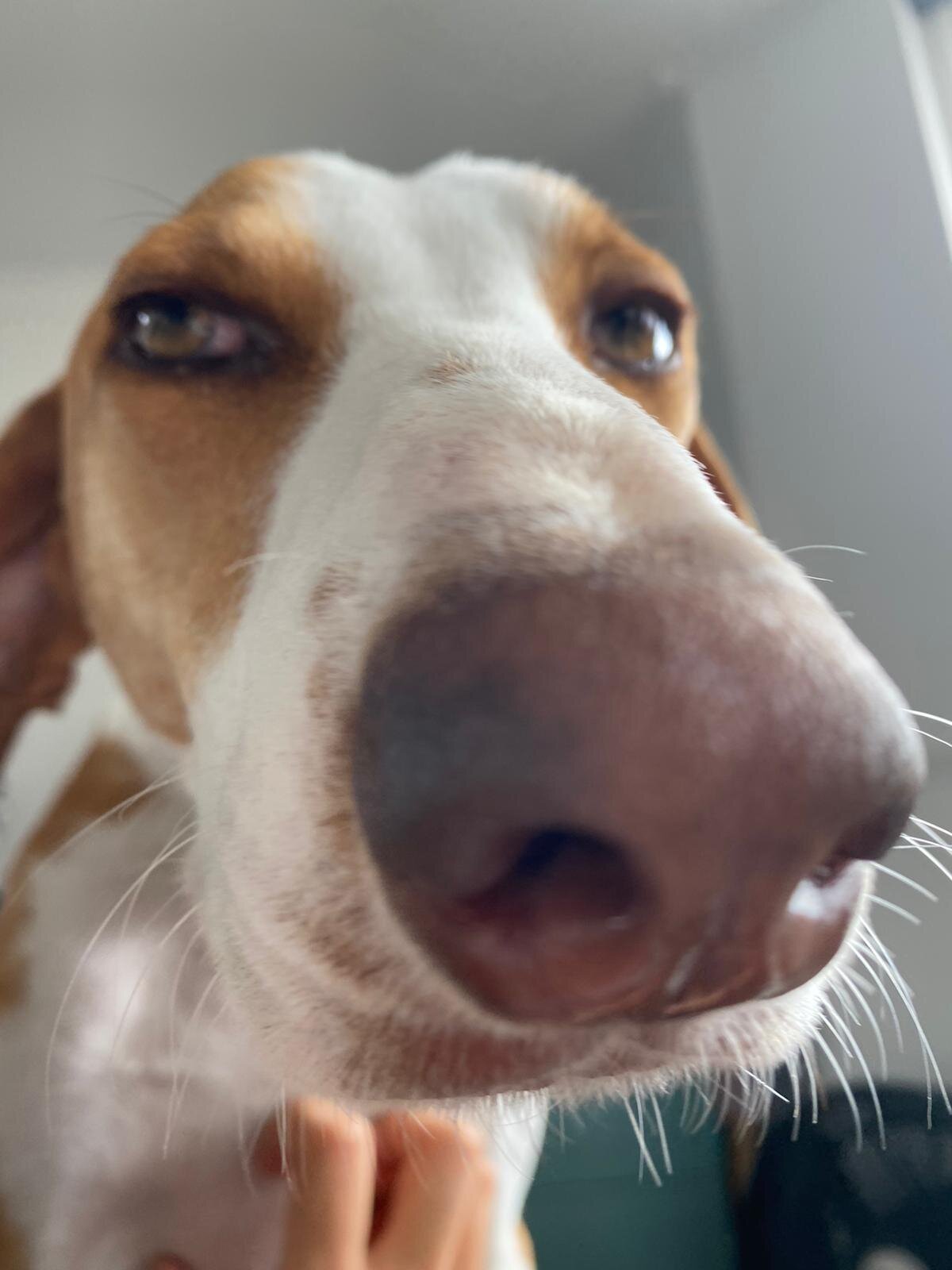 4C2989B2-CDD0-4950-B2E2-78033A9A2639