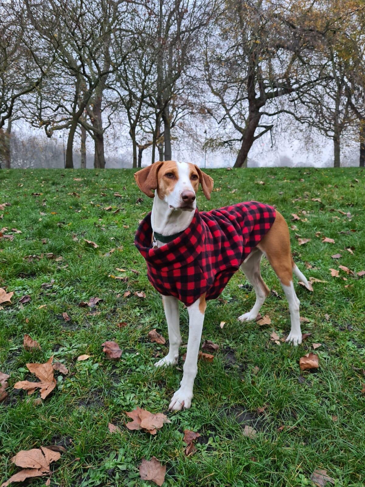 E9F619F1-41F1-44F2-86B7-C83AA70722B3