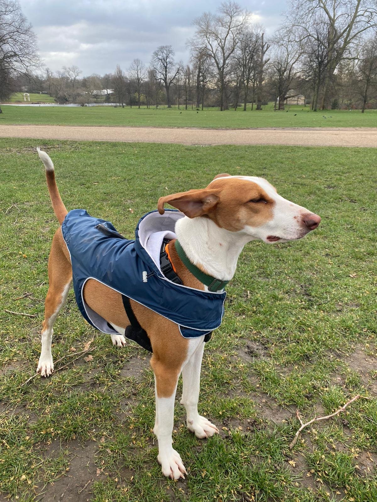 A667C261-A32C-4417-BEC0-CD5675958A54