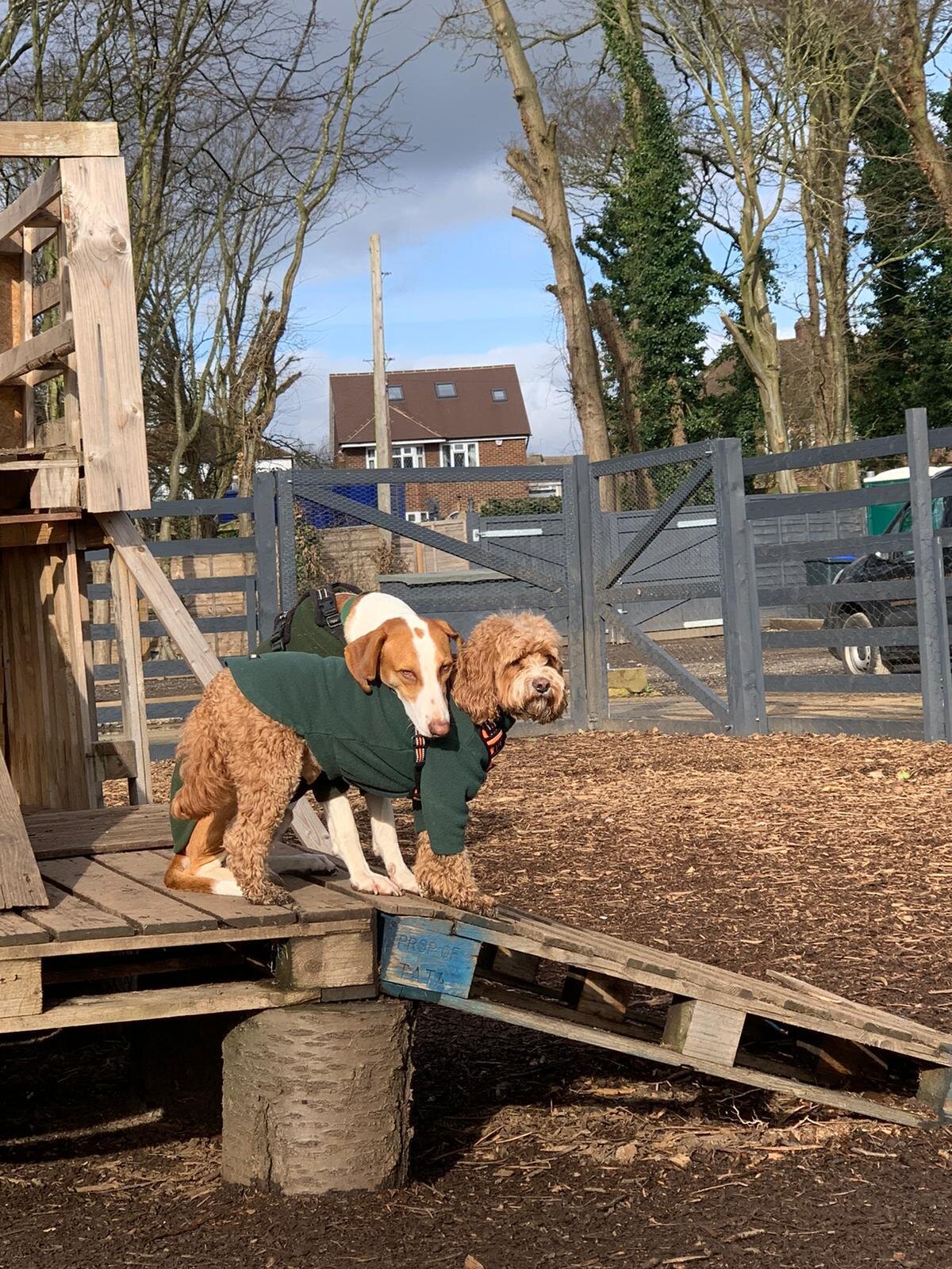 64A4FE6C-D026-4F99-8D51-05BDB142D6C5