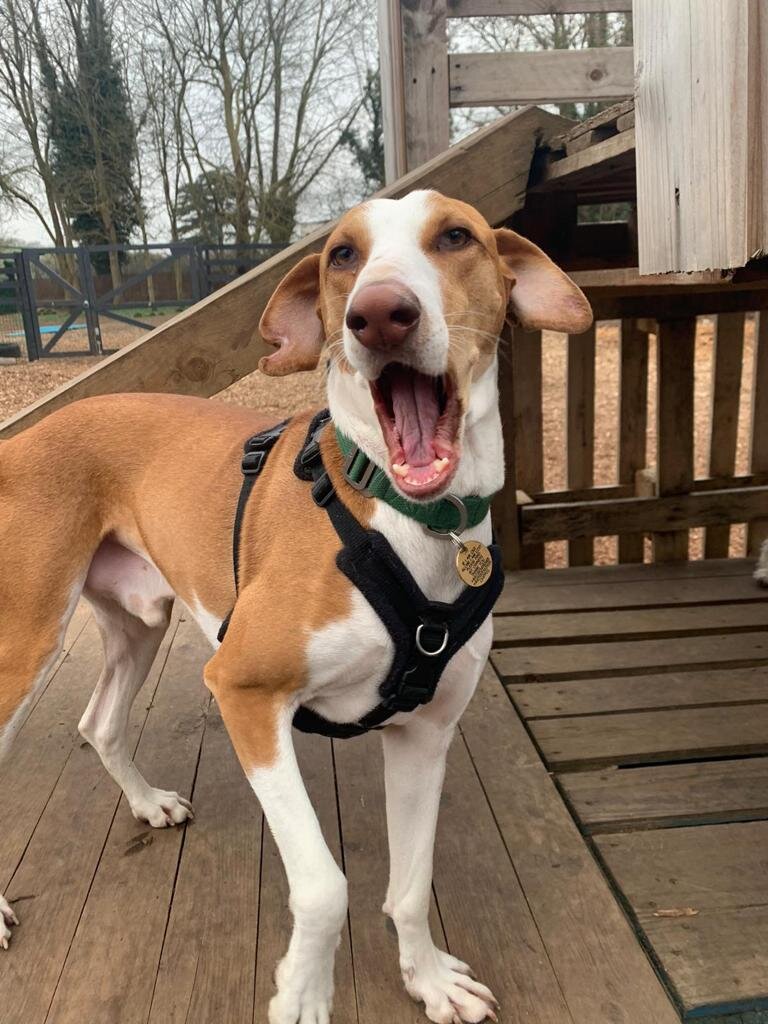 E737B8DB-F6ED-42B4-8CFD-8DBF6B082A1A