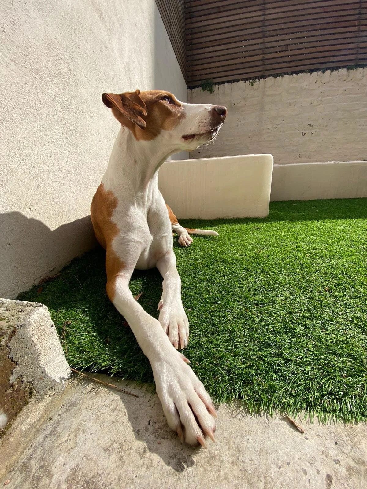 EB5EEFF6-C831-4A65-A82C-5A1E6F45339C