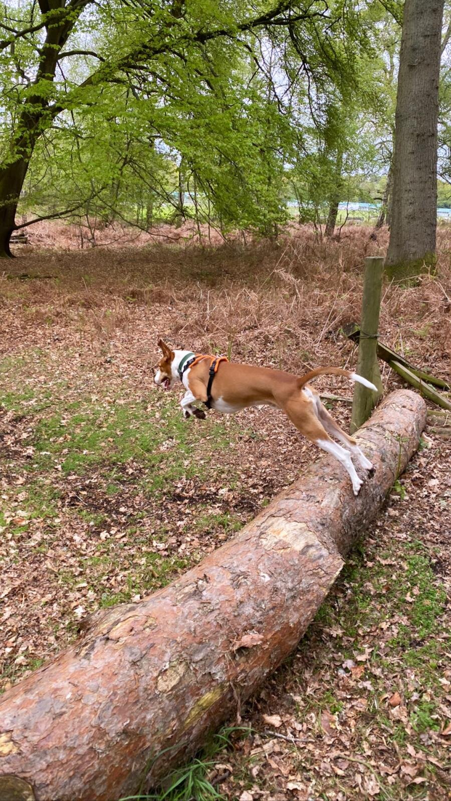 608E3337-1F85-4697-96AE-66CD717C5864