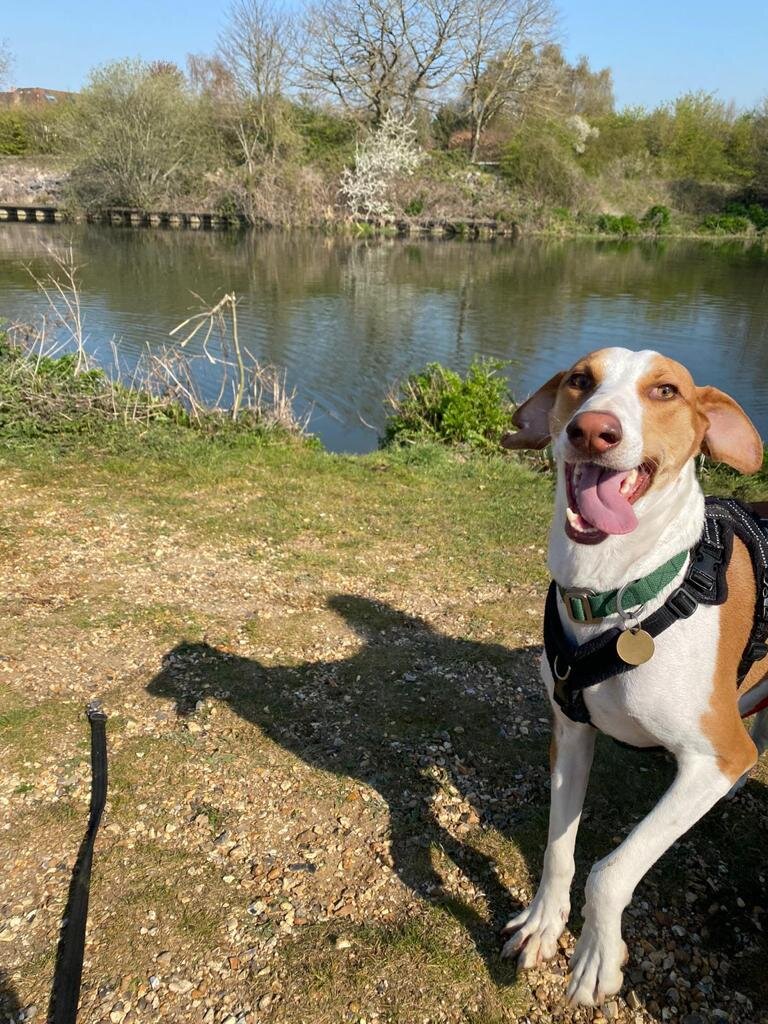 6F05FA3A-5102-4154-AF38-A4C584D11AB4