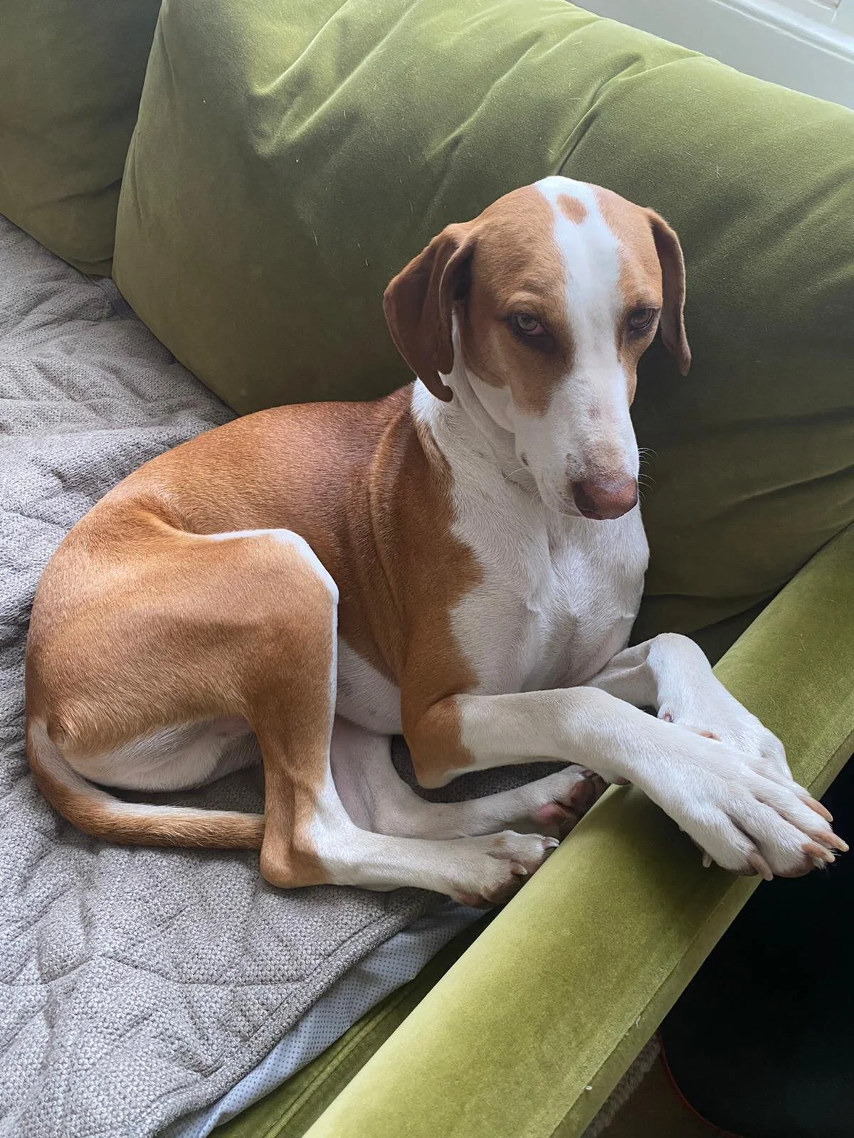 C71BFB6B-F49F-40C0-8653-E7C5573E11E3