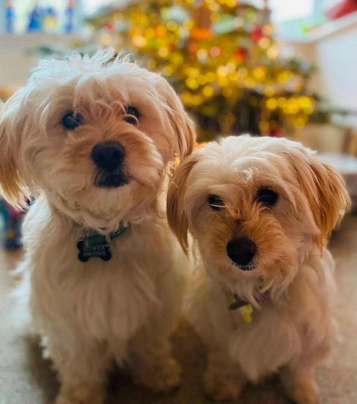 DFE99445-DB22-43B1-9C78-6B97C8D5BBD7