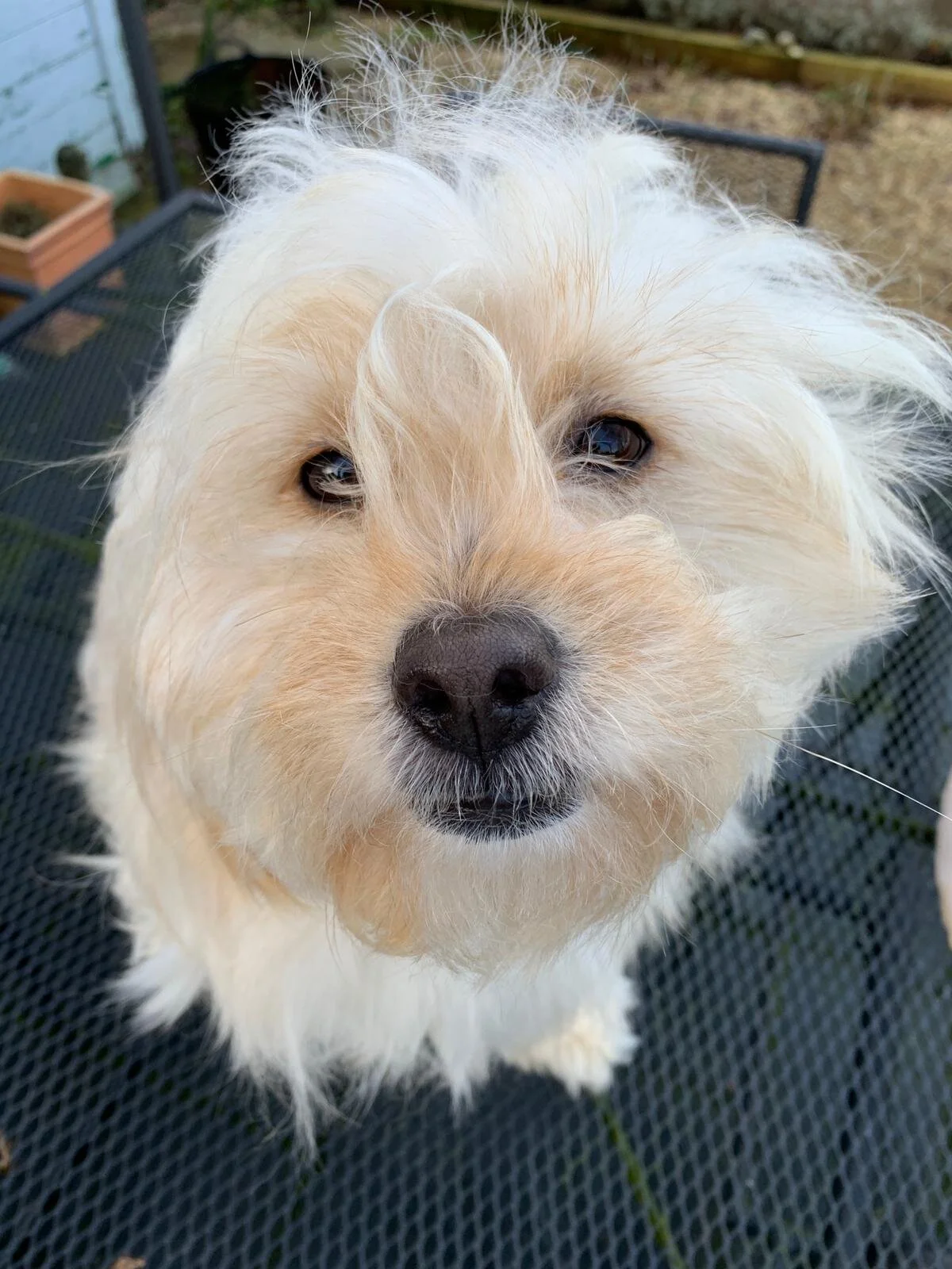 2609DA65-EA44-49DF-9599-087DF450A304